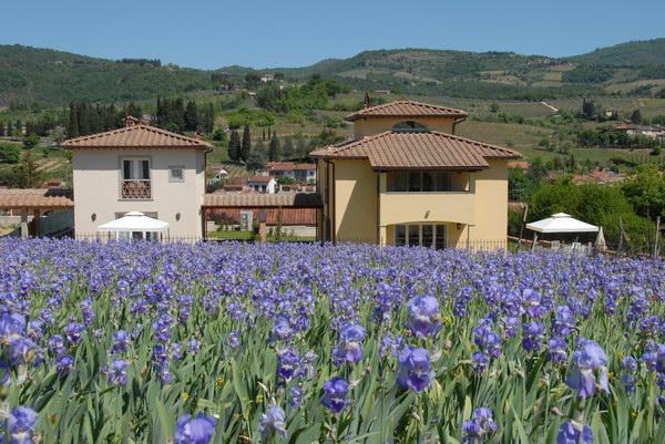 Casa Rosa Villa Greve in Chianti Bagian luar foto